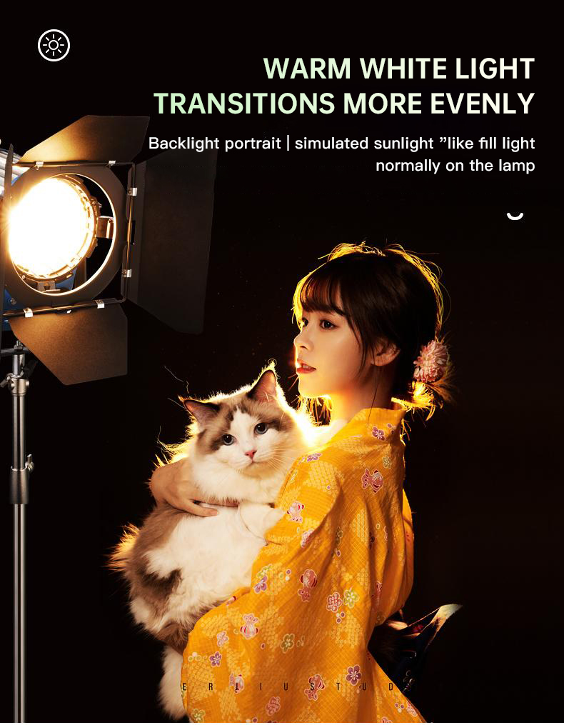 Beiyang 2000W Reflektor do wło – Photography Lighting For Indoor recenzja i cena